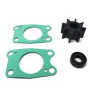IMPELLER KIT W/PUMP  BF5
