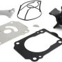 WATER PUMP KIT DF250-300