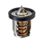 THERMOSTAT COMP WATER 50 DEG