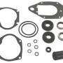 SIERRA LOWER UNIT SEAL