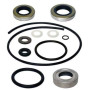SIERRA LOWER UNIT SEAL KIT