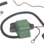 COIL 580821   18-5194