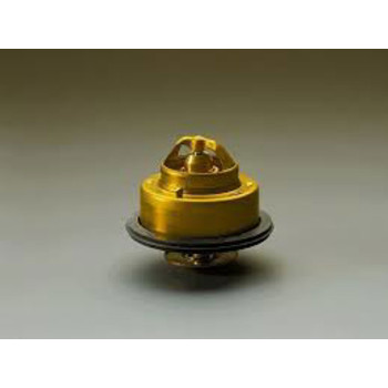 THERMOSTAT KIT VP C7V4A