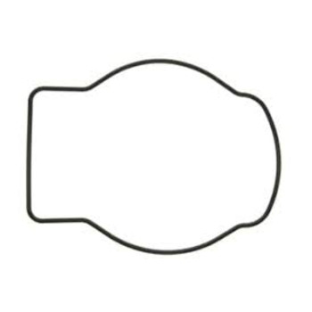 WATER PUMP O RING