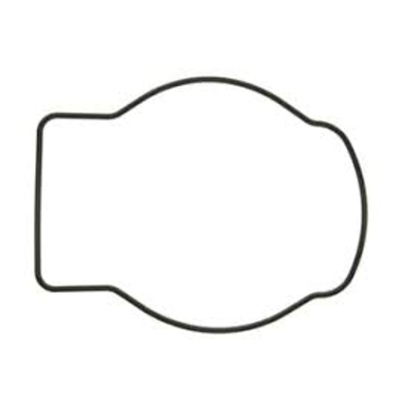 WATER PUMP O RING