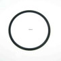 O RING