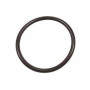 BENNETT ACTUATOR PISTON O-RING (-220)