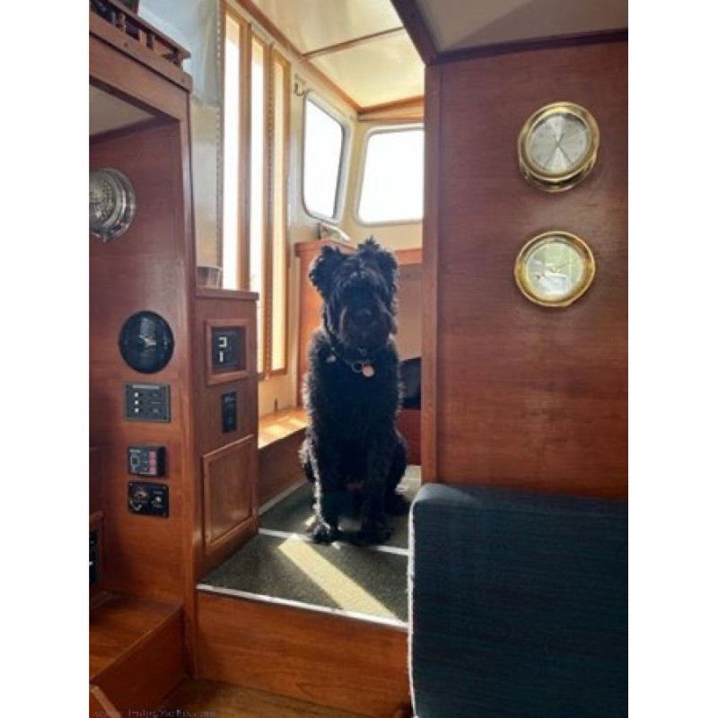 2006 Maleo Wittholz 31 ft Tugboat