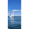 1981 CAL 31 Sailboat