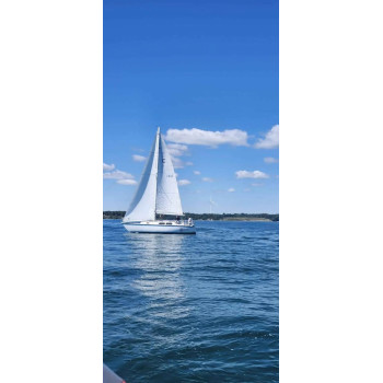 1981 CAL 31 Sailboat