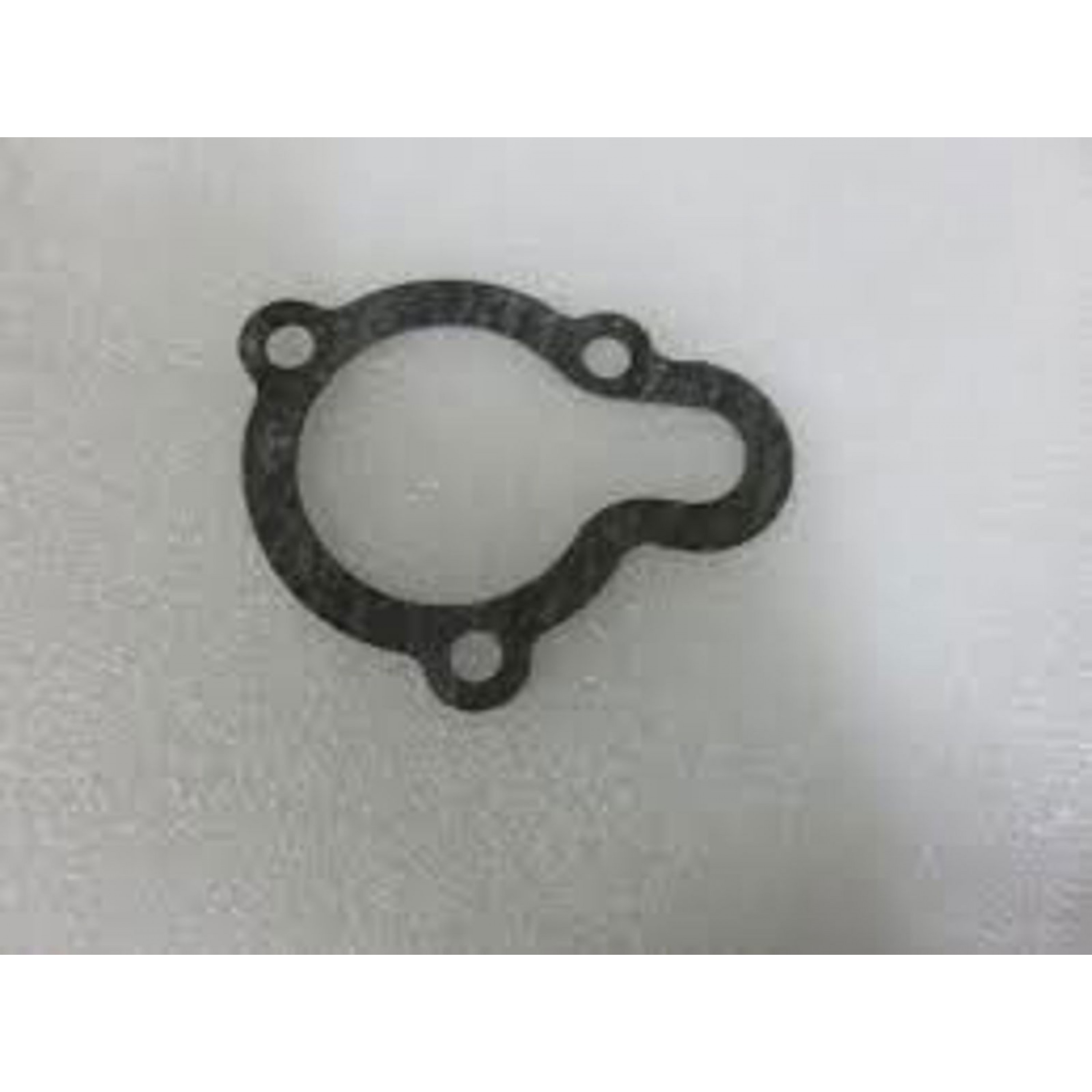 GASKET, THERMOSTAT