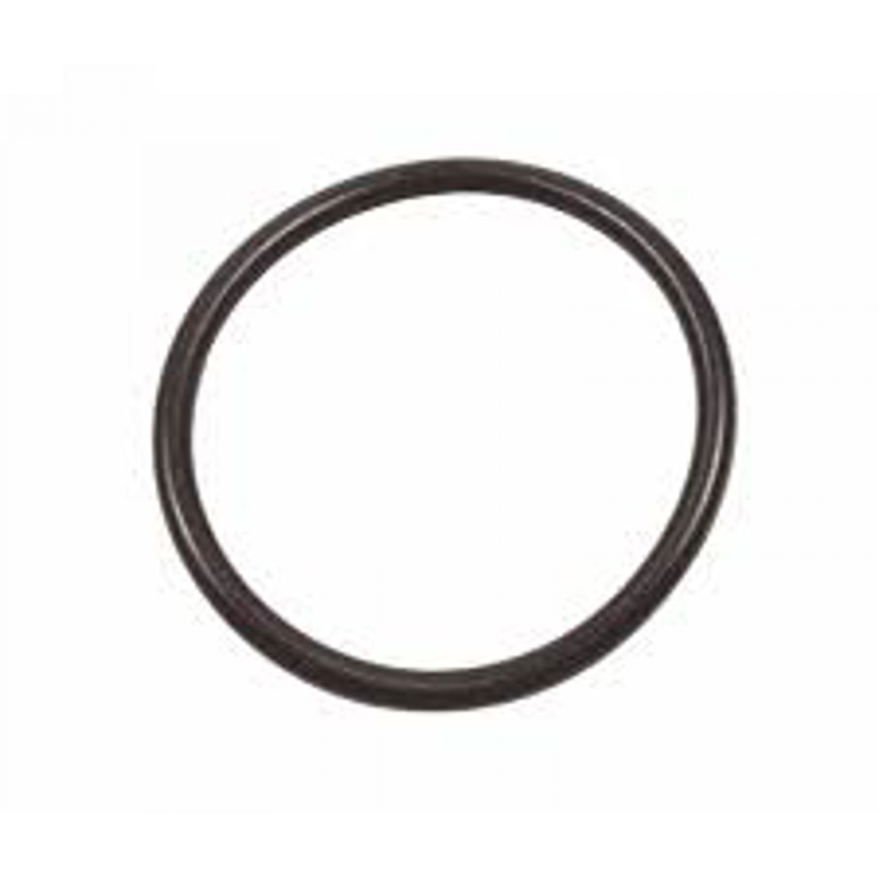 BENNETT ACTUATOR PISTON O-RING (-220)