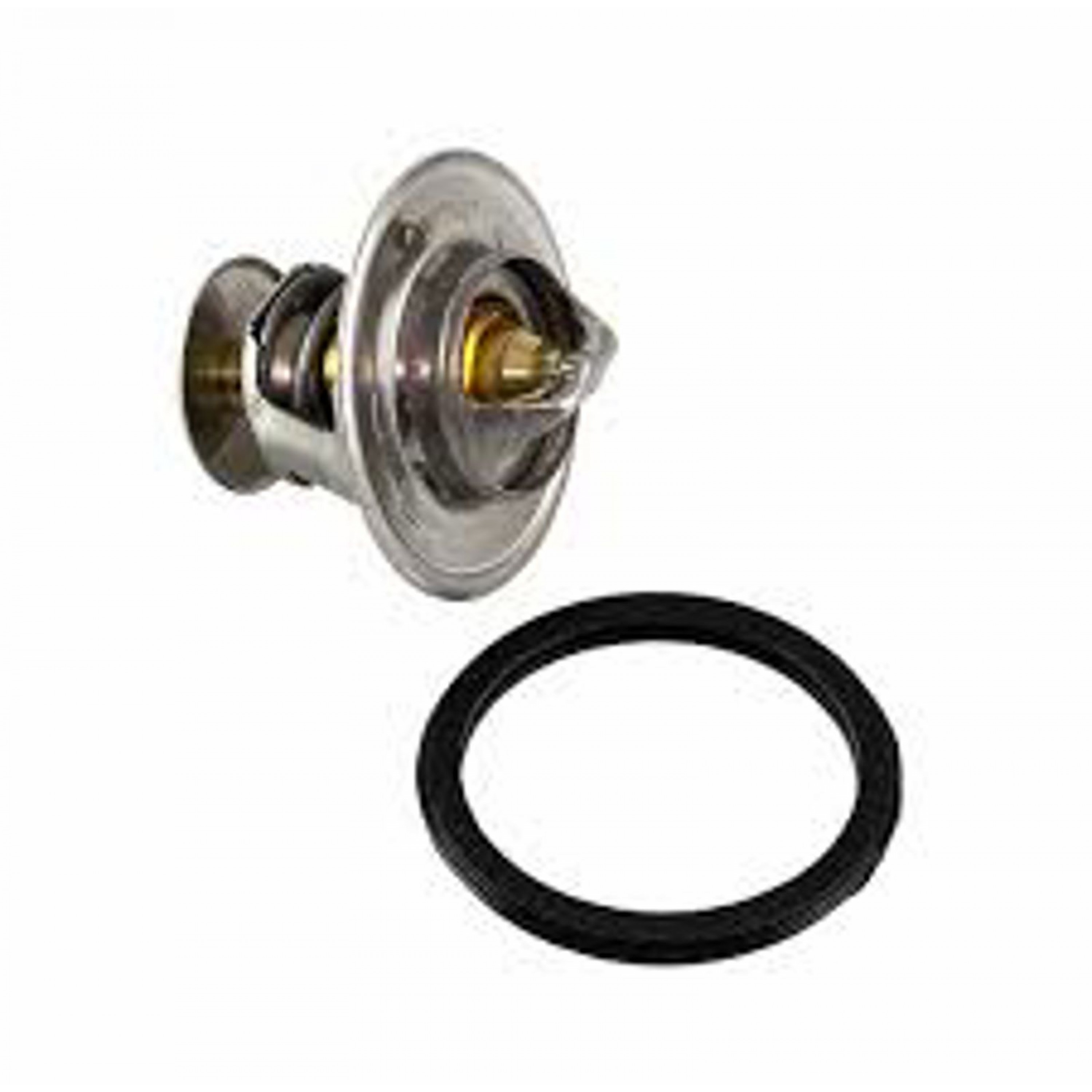 THERMOSTAT KIT