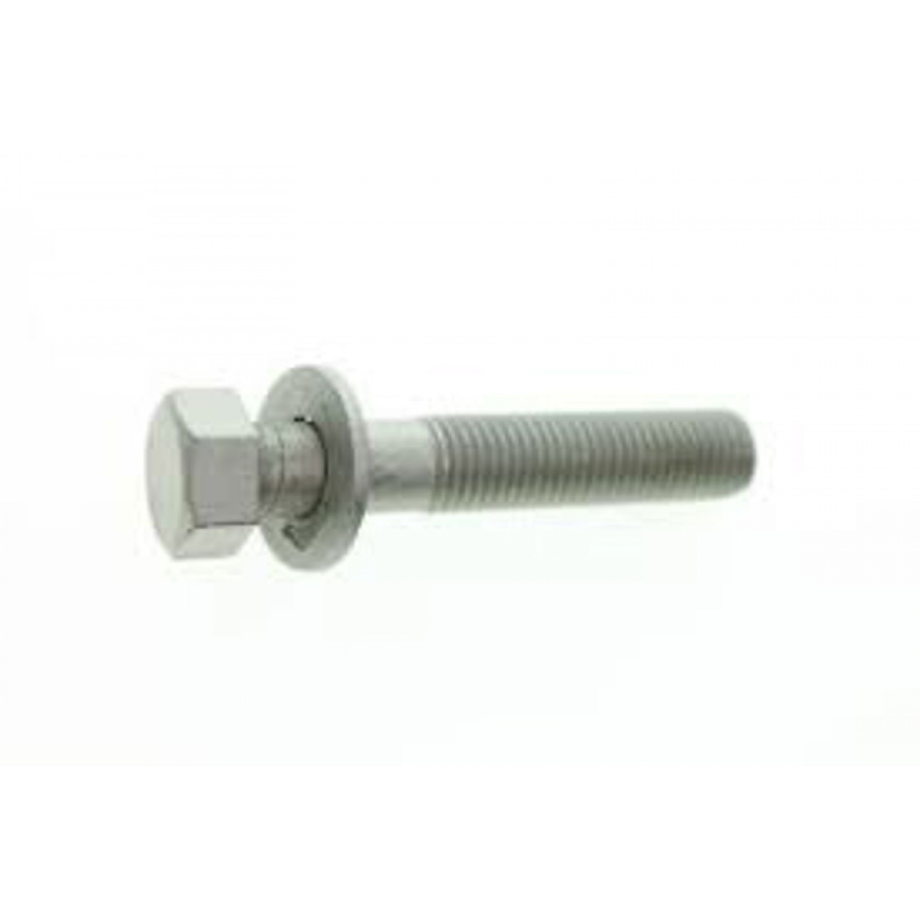 BOLT, 10 X 55 Used on Tiller Kit