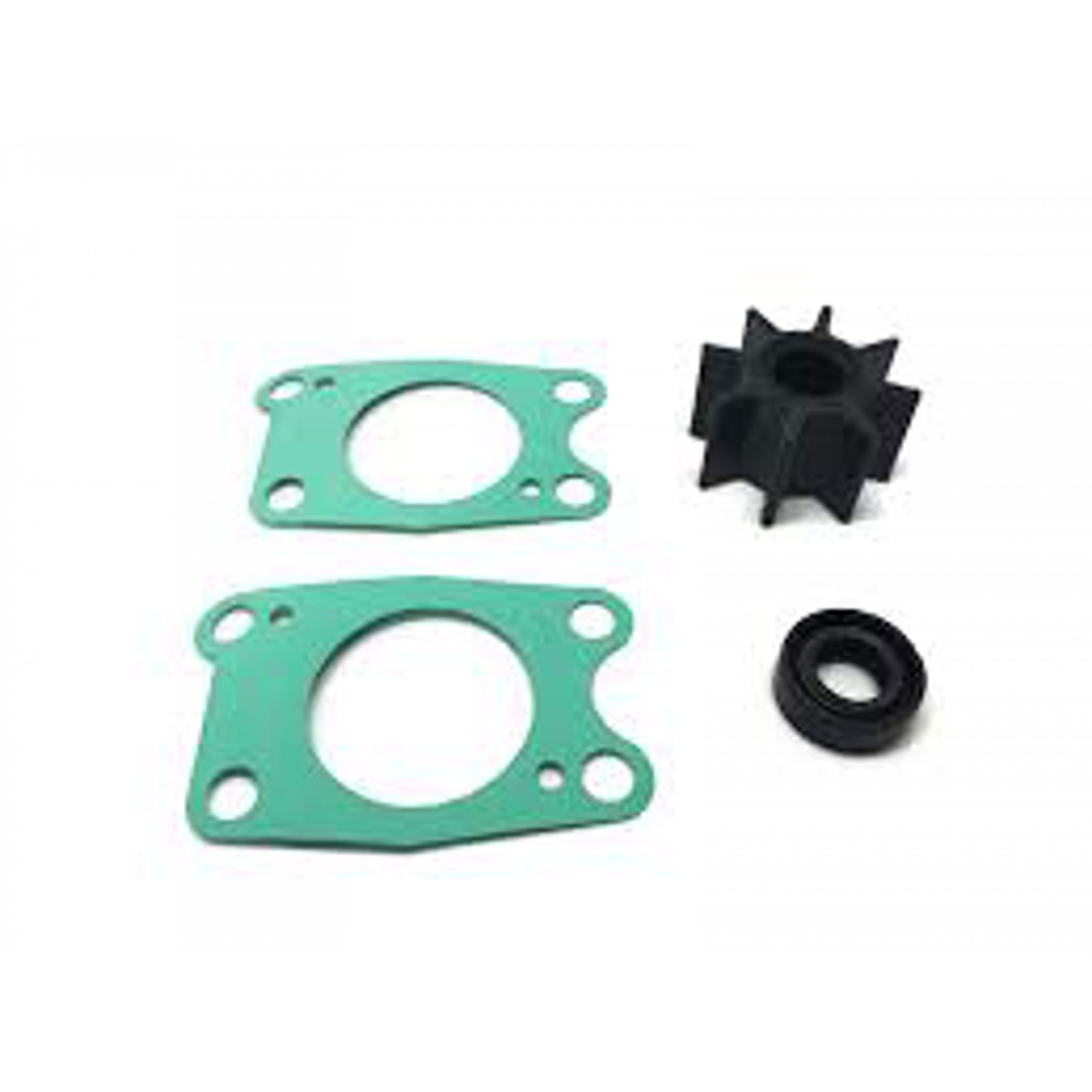 IMPELLER KIT W/PUMP  BF5