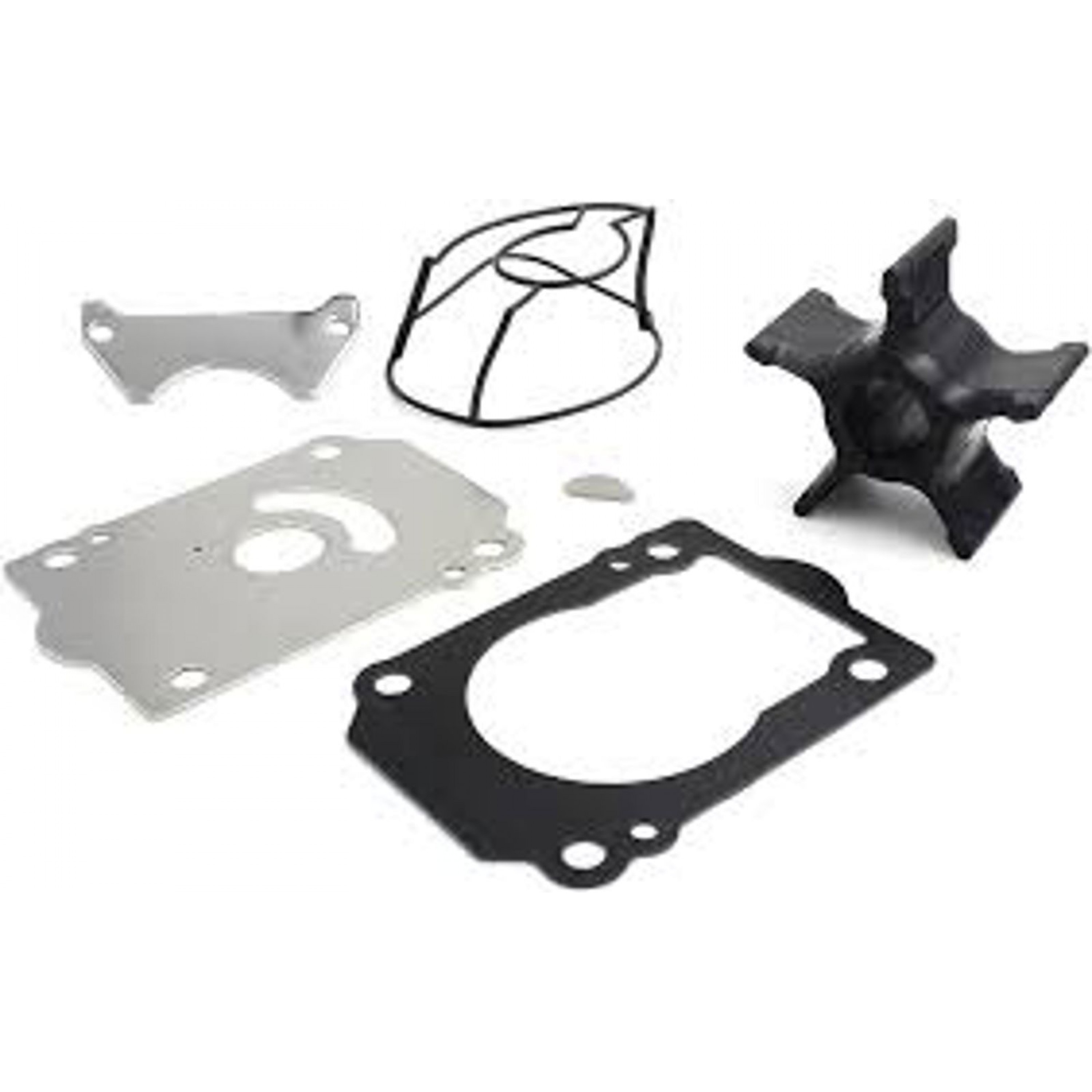 WATER PUMP KIT DF250-300