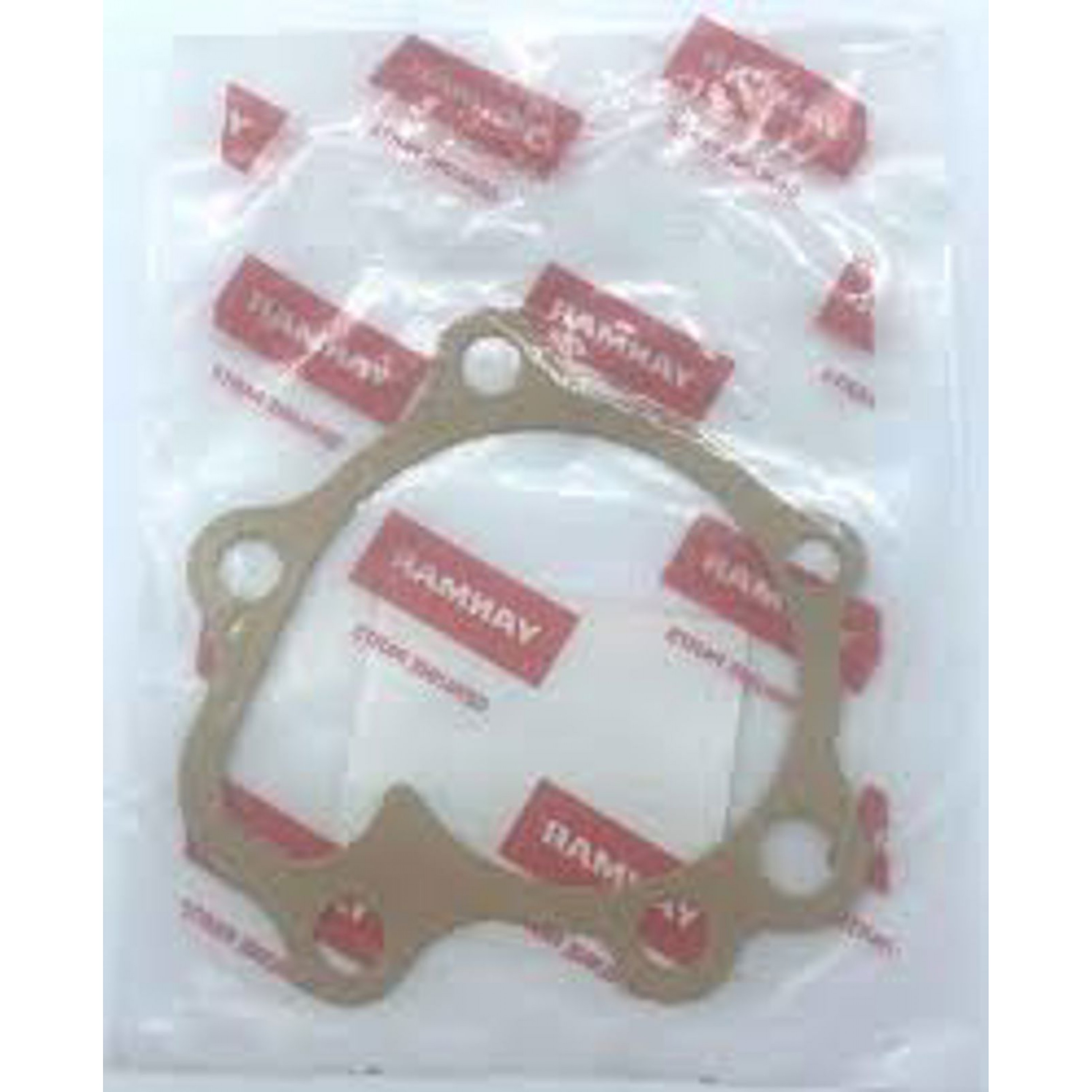 GASKET WATER PUMP