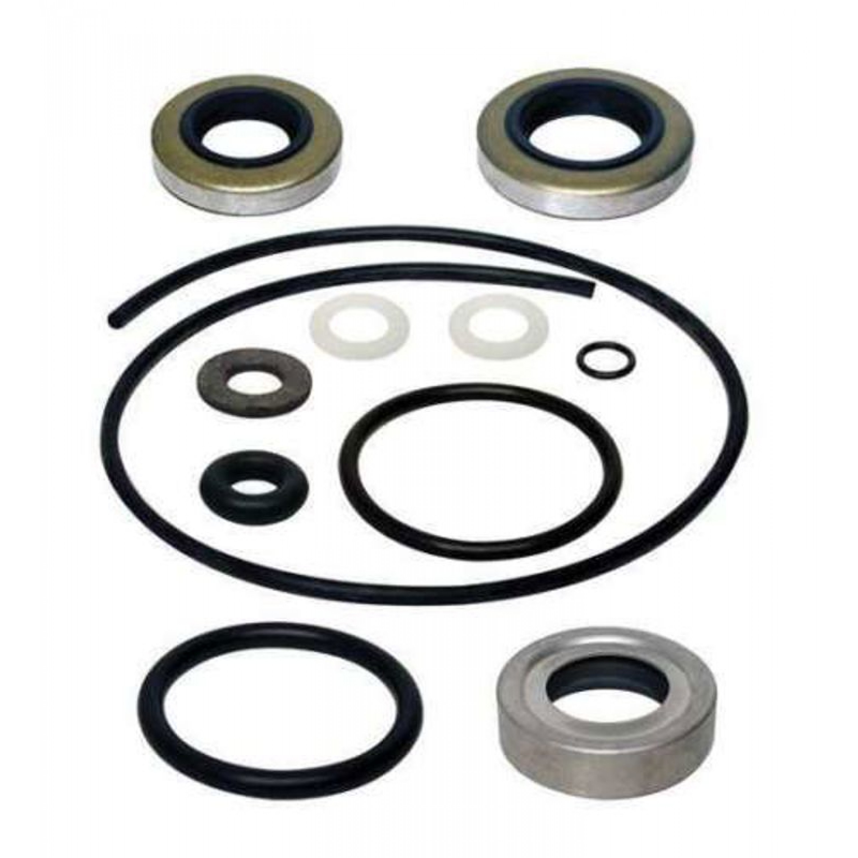 SIERRA LOWER UNIT SEAL KIT